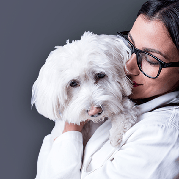 Animal Care and Veterinarian Link Button Image